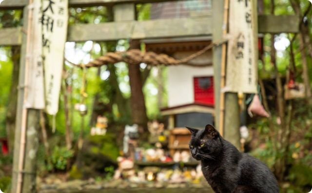 神社