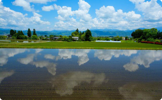 田舎、田んぼ