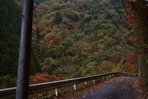 【※不気味な人怖】彼女に山に放置され、歩いてると車を発見→話しかけて後悔した。女が穴を掘ってた