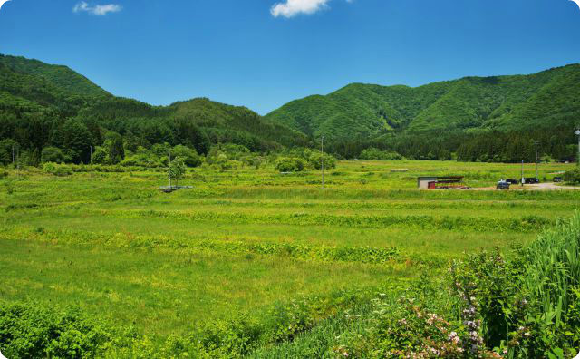 田舎