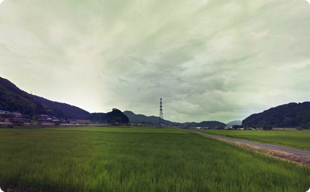 田舎、くねくね