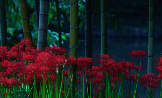 【何これ怖い】夜中、夫が大声で歌ってる。そして…