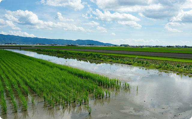 田園風景