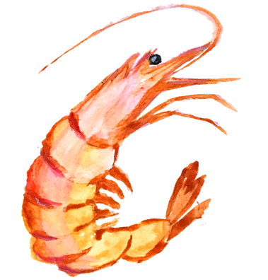 hand-painting-1957063_960_720