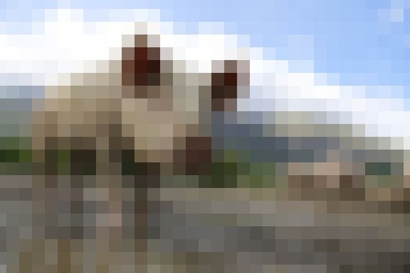 kako-DHhJUgVklvaIQrI3