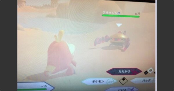 ポケモンsvの戦闘シーンが判明 ニンテンドーエブリー