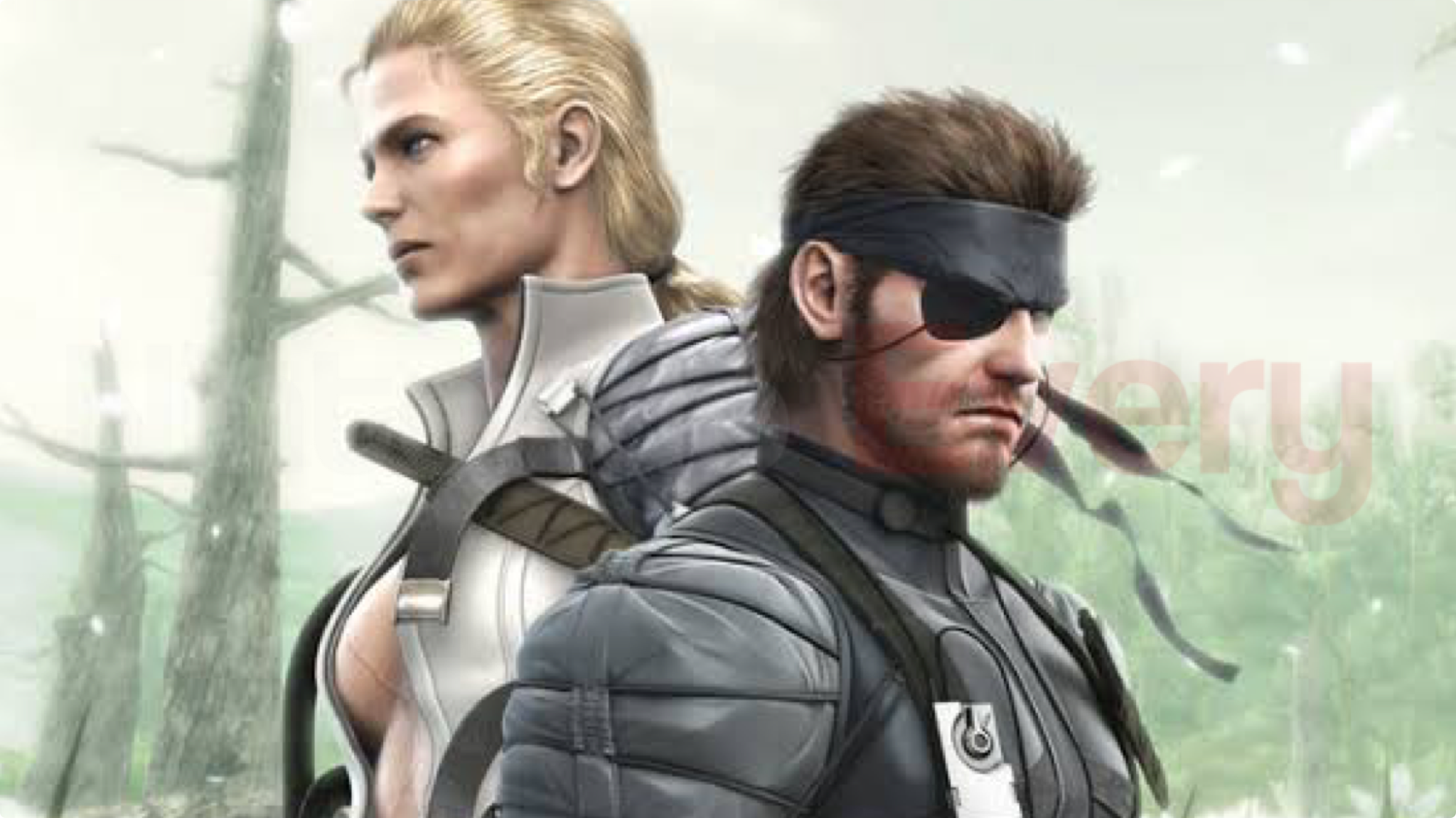 3dsのメタルギアソリッド 権利更新で一時的に販売停止に ニンテンドーエブリー 3dsのメタルギアソリッド 権利更新で一時的に販売停止に ニンテンドーエブリー