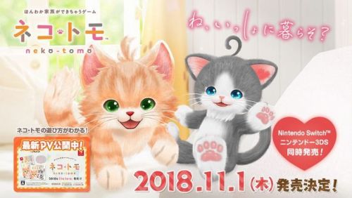 neko-tomo-november