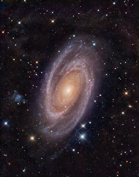 M81