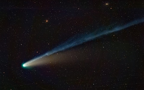 Lemmon_5394_9C_RAT_S