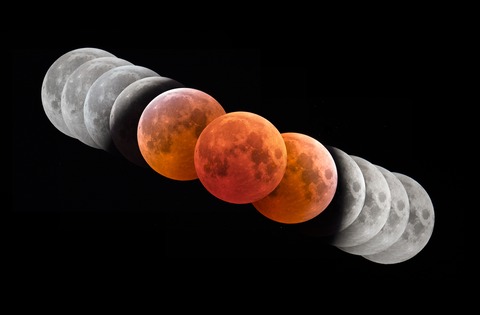 8873-9039-special-best-si-jp