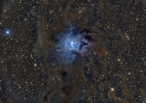 Iris-LHE_NXT_HT-ps-GC-ps