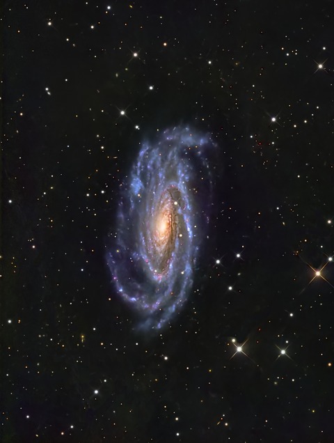 NGC5033 Hoshinabi