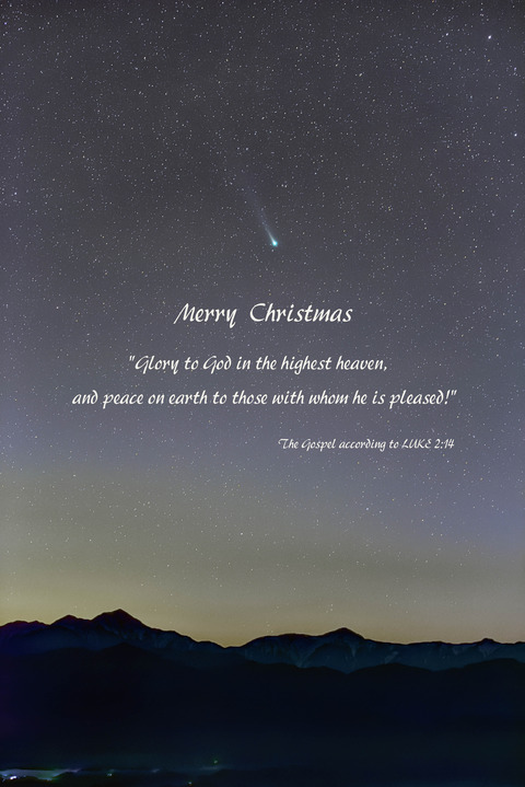 DSC_2302i - Christmas