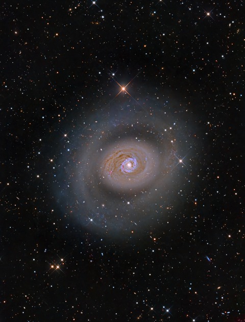 M94-L66-RGB-SPCC2