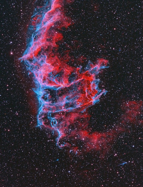 IC1340-S50A50-A10O90-O100-RD-WS-CR-ps_b-rgb-bmsi-nikmk-si2