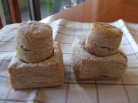 �����̵���������� 191