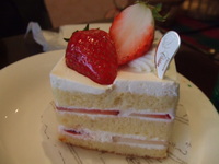 �����̵���������� 138