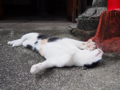 no title