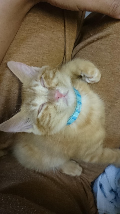 no title