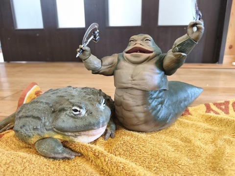 no title