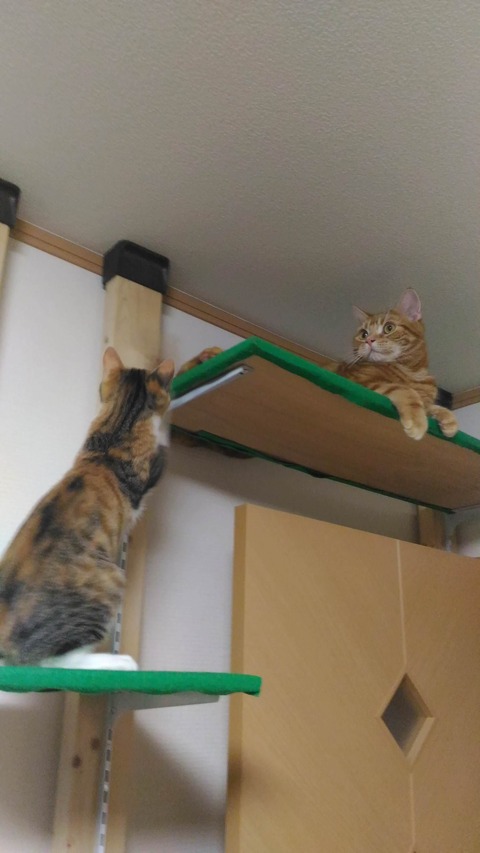 no title