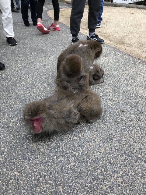 no title