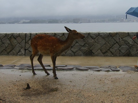 no title