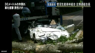 富山で大木倒れ名車「トヨタ２０００ＧＴ」を直撃し大破　男性軽傷