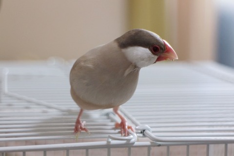 no title