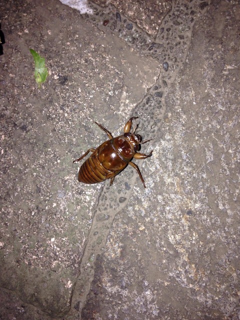 no title