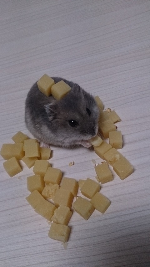 no title