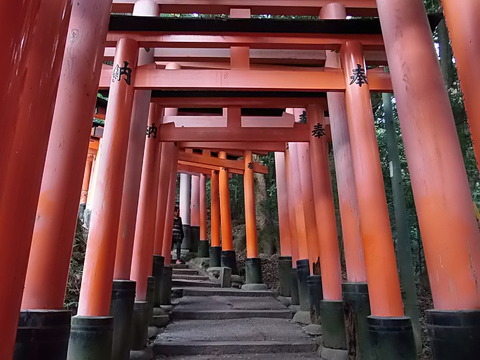 no title