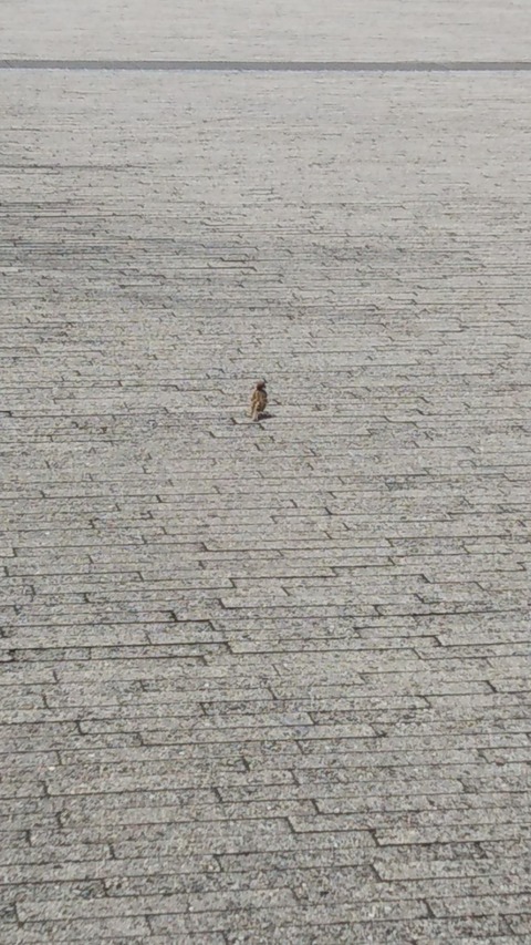 no title