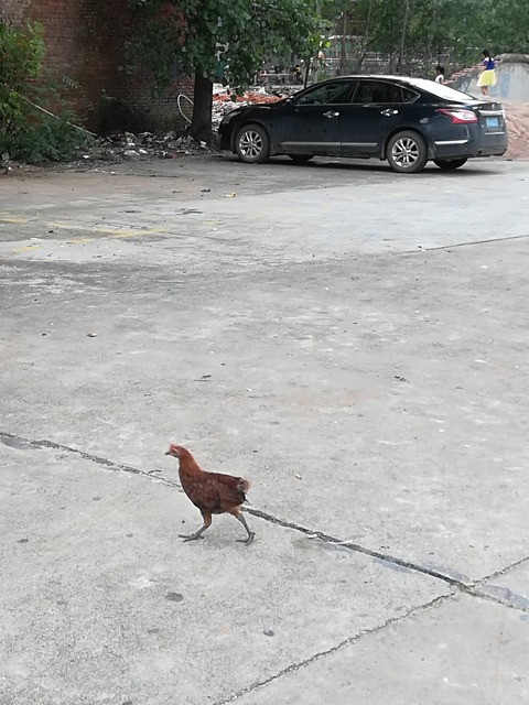 no title