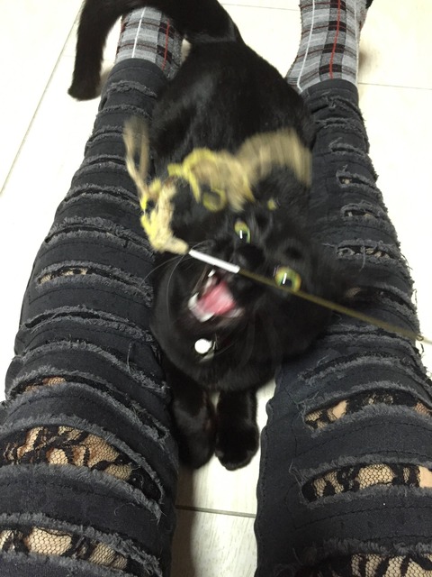 no title