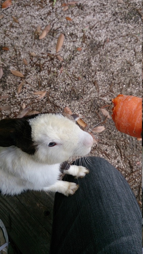 no title
