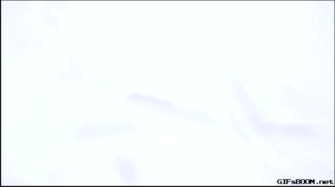 tumblr_ninmj9Ukv11qz4gjqo1_500