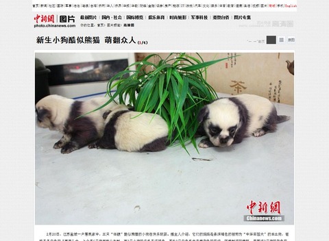 551929217bee735bce84cc97d4984bb3