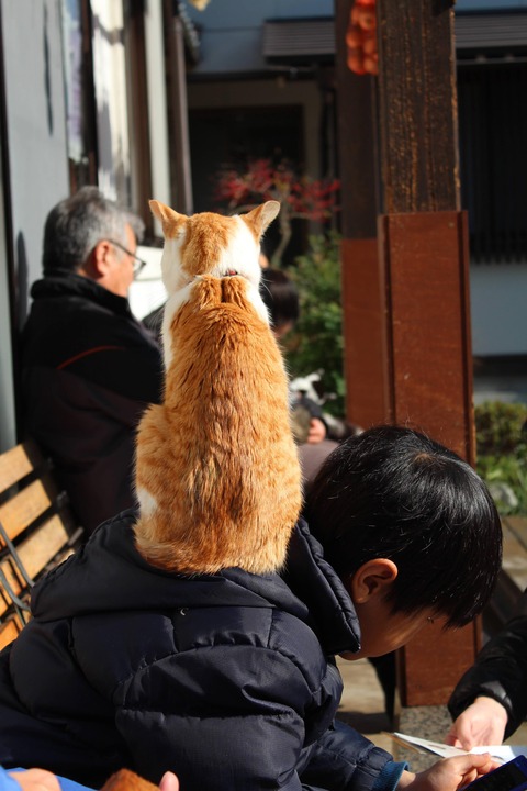 no title
