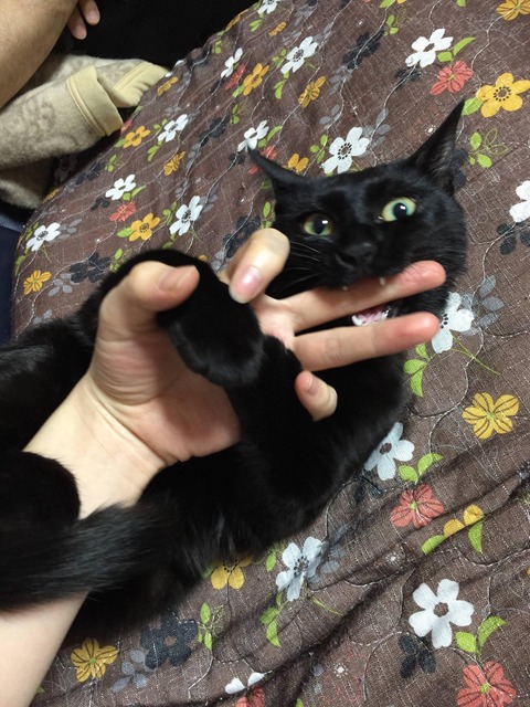 no title