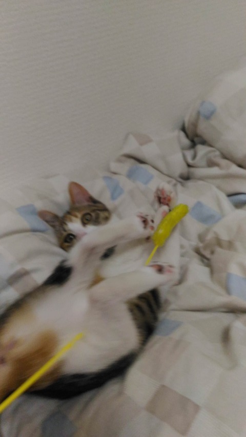 no title