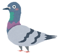 bird_hato