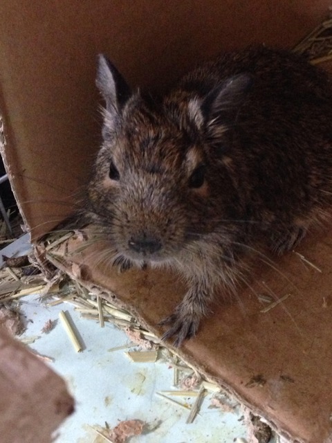 no title