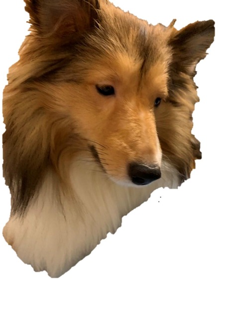 no title