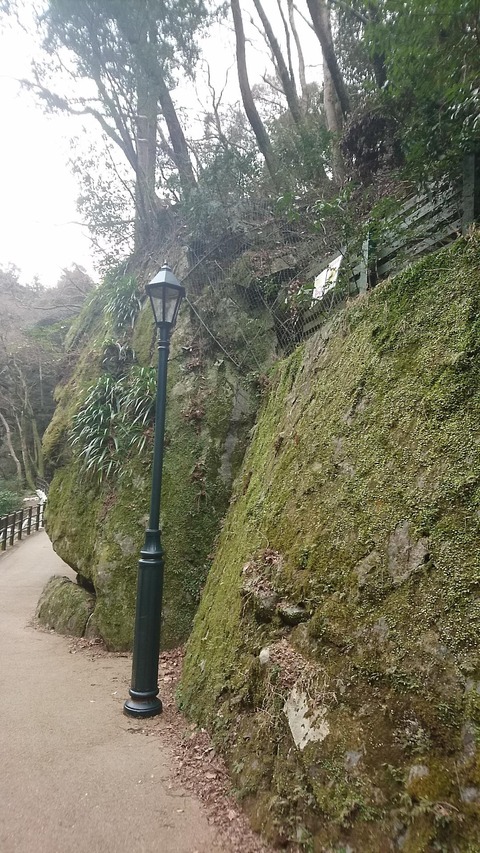 no title
