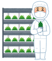 job_syokubutsu_koujou