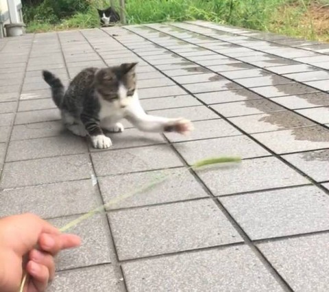 no title