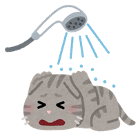 pet_ofuro_kirai_cat