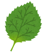 vegetable_shiso